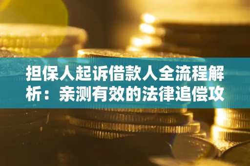 武汉担保人起诉借款人全流程解析：亲测有效的法律追偿攻略