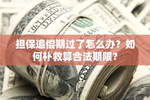 武汉担保追偿期过了怎么办？如何补救算合法期限？