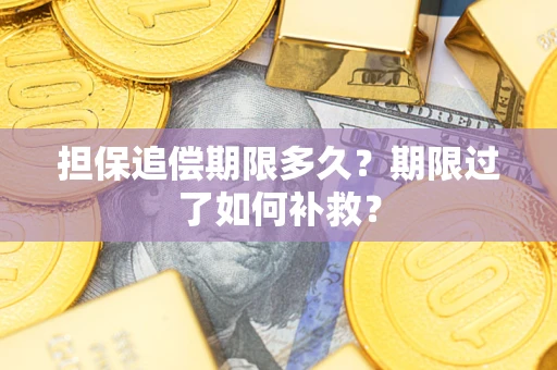 武汉担保追偿期限多久？期限过了如何补救？