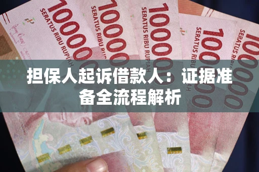 武汉担保人起诉借款人：证据准备全流程解析