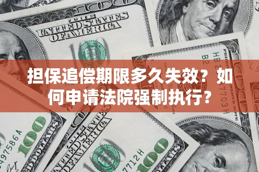 武汉担保追偿期限多久失效？如何申请法院强制执行？