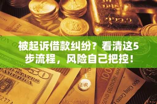 武汉被起诉借款纠纷？看清这5步流程，风险自己把控！