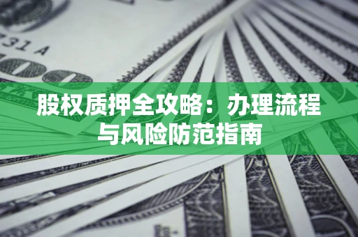 武汉股权质押全攻略：办理流程与风险防范指南